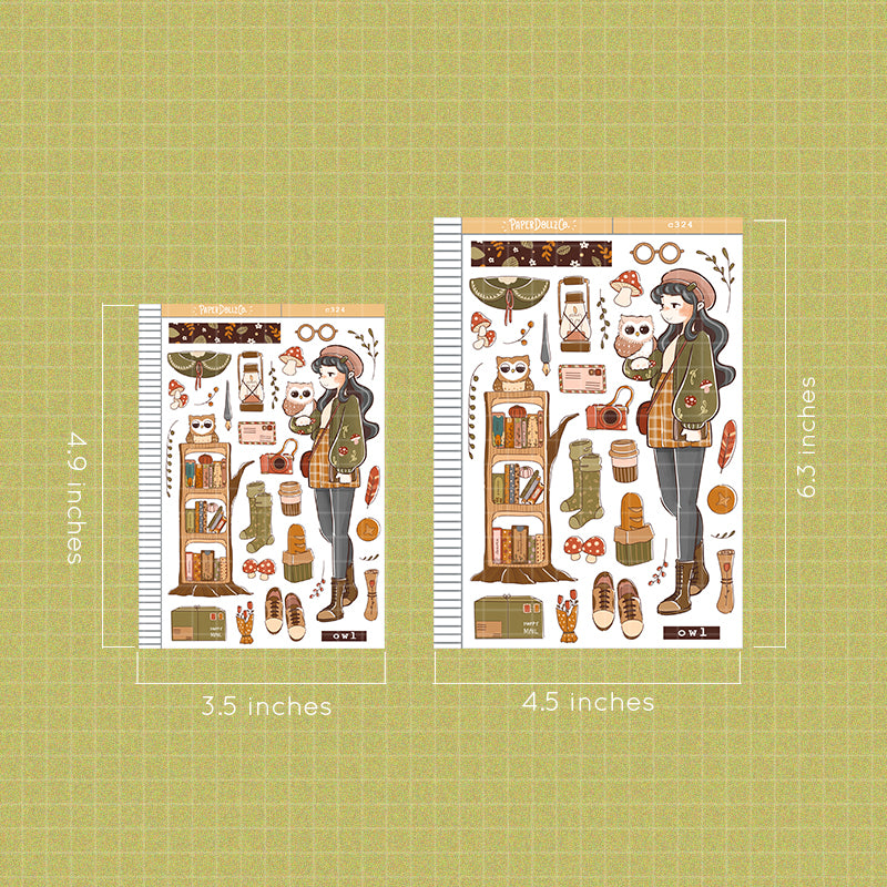 Owl | Birds of Autumn | Collections Stickers | C324