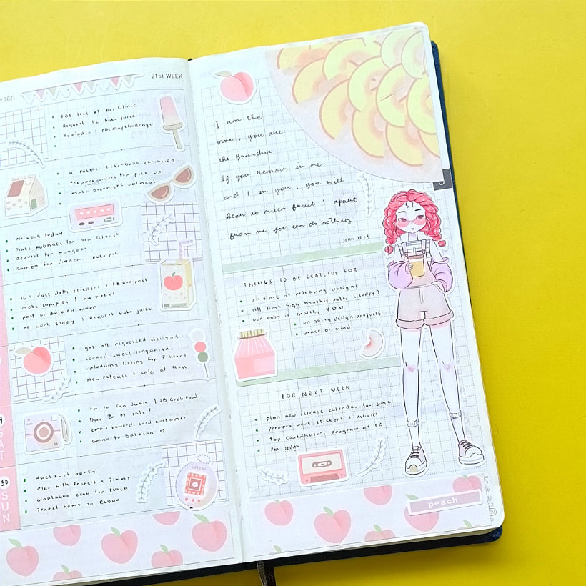 Hobonichi Kit for Hobonichi Weeks | hw070 | c202