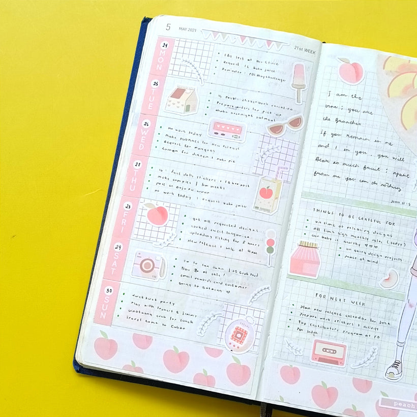 Hobonichi Kit for Hobonichi Weeks | hw070 | c202