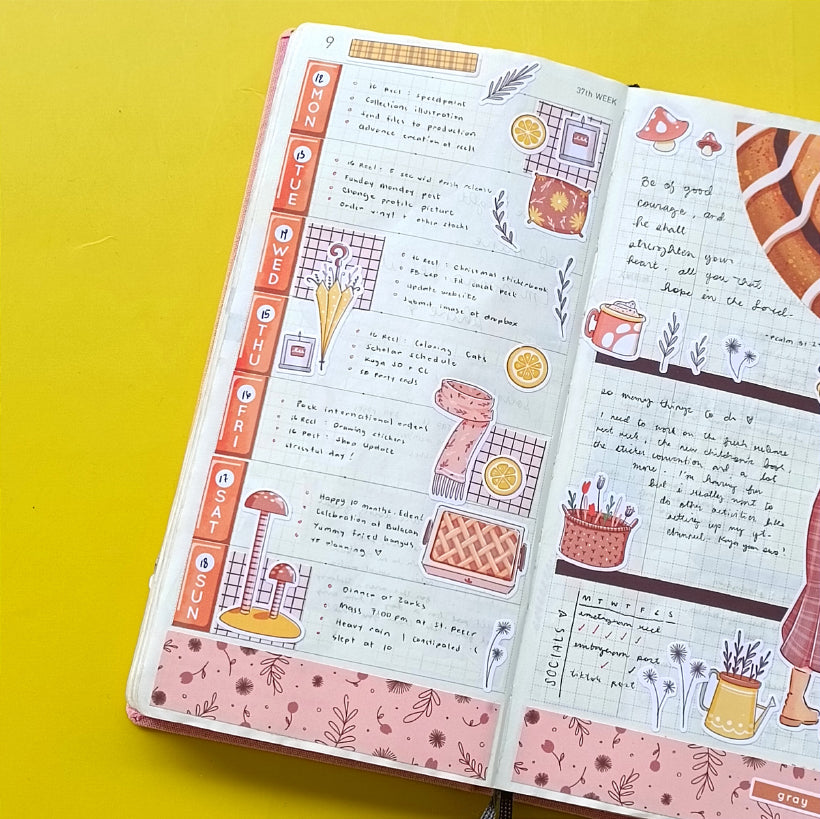 Hobonichi Kit for Hobonichi Weeks | hw134 | c273