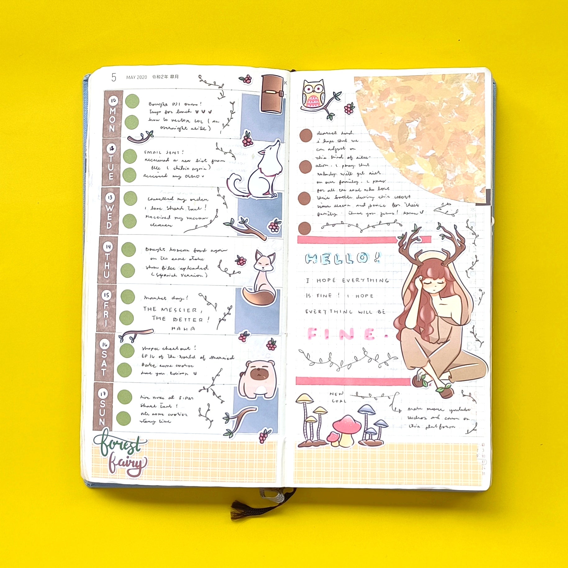 Hobonichi Kit for Hobonichi Weeks | hw018 | c063