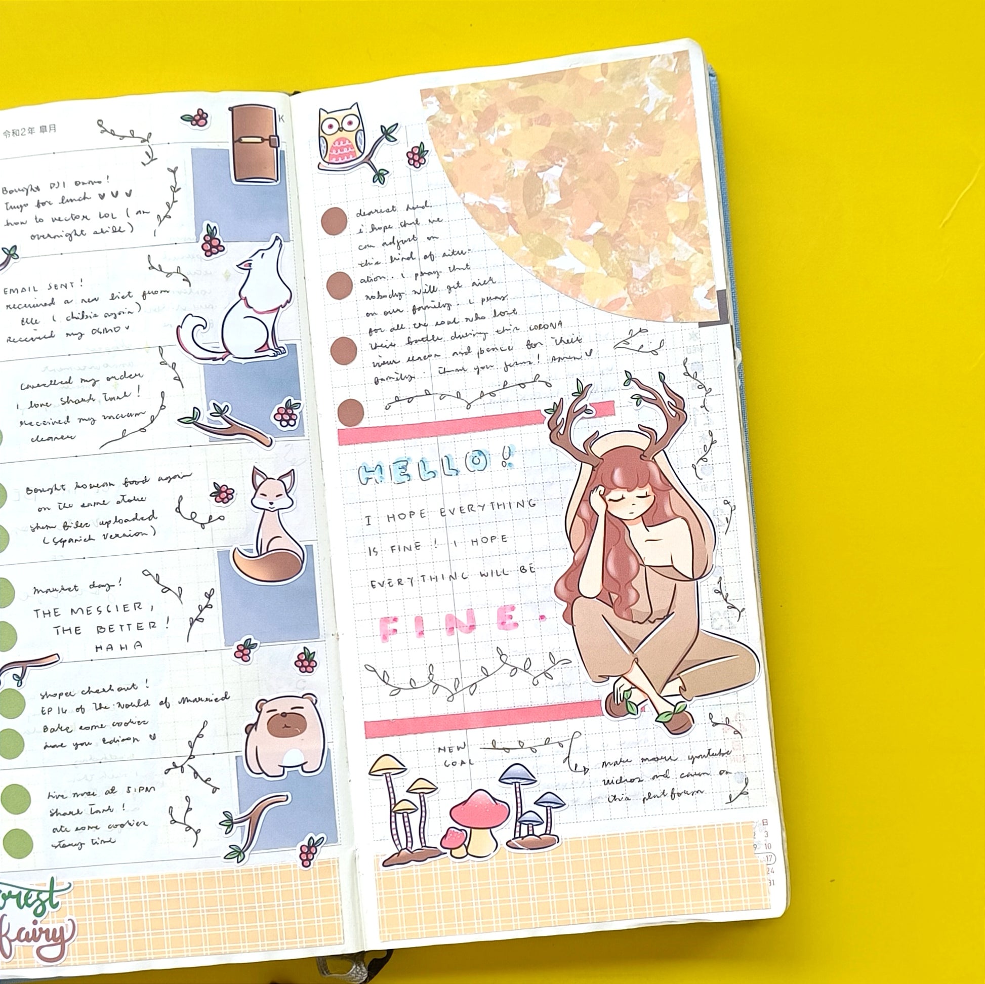 Hobonichi Kit for Hobonichi Weeks | hw018 | c063