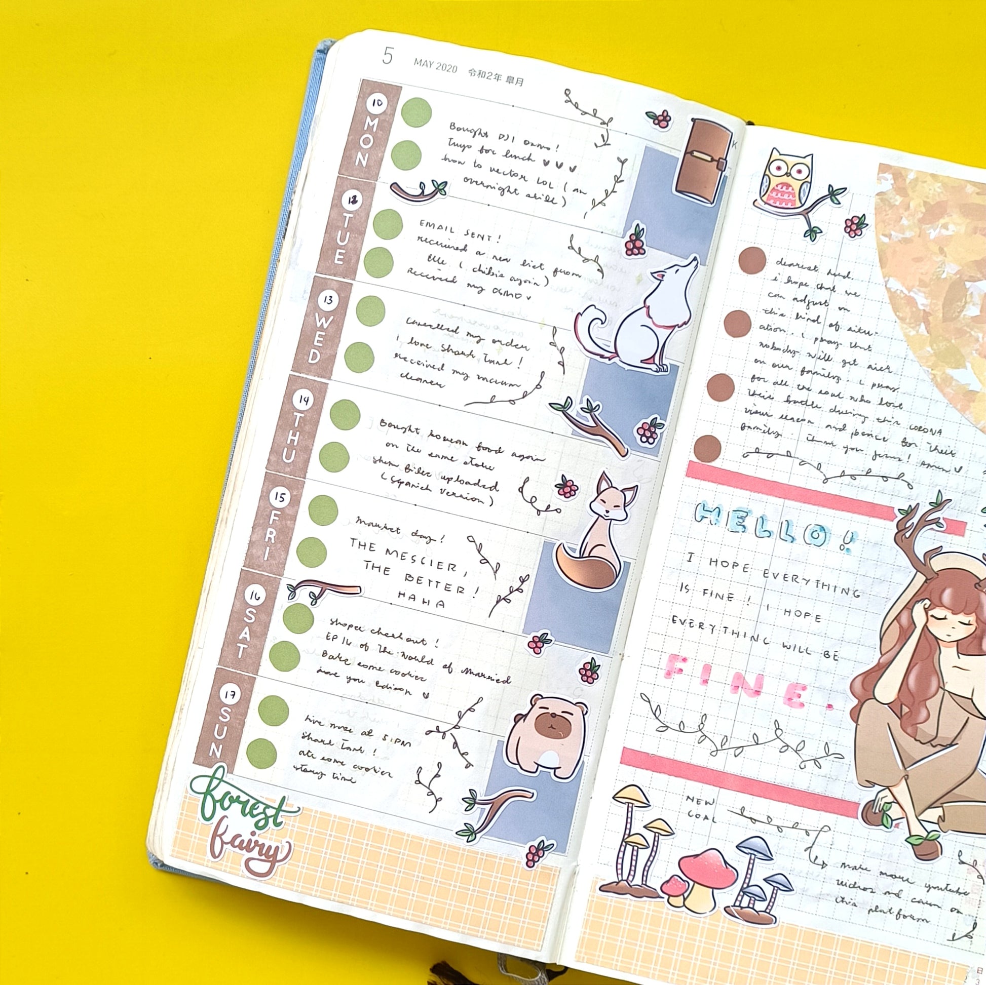 Hobonichi Kit for Hobonichi Weeks | hw018 | c063