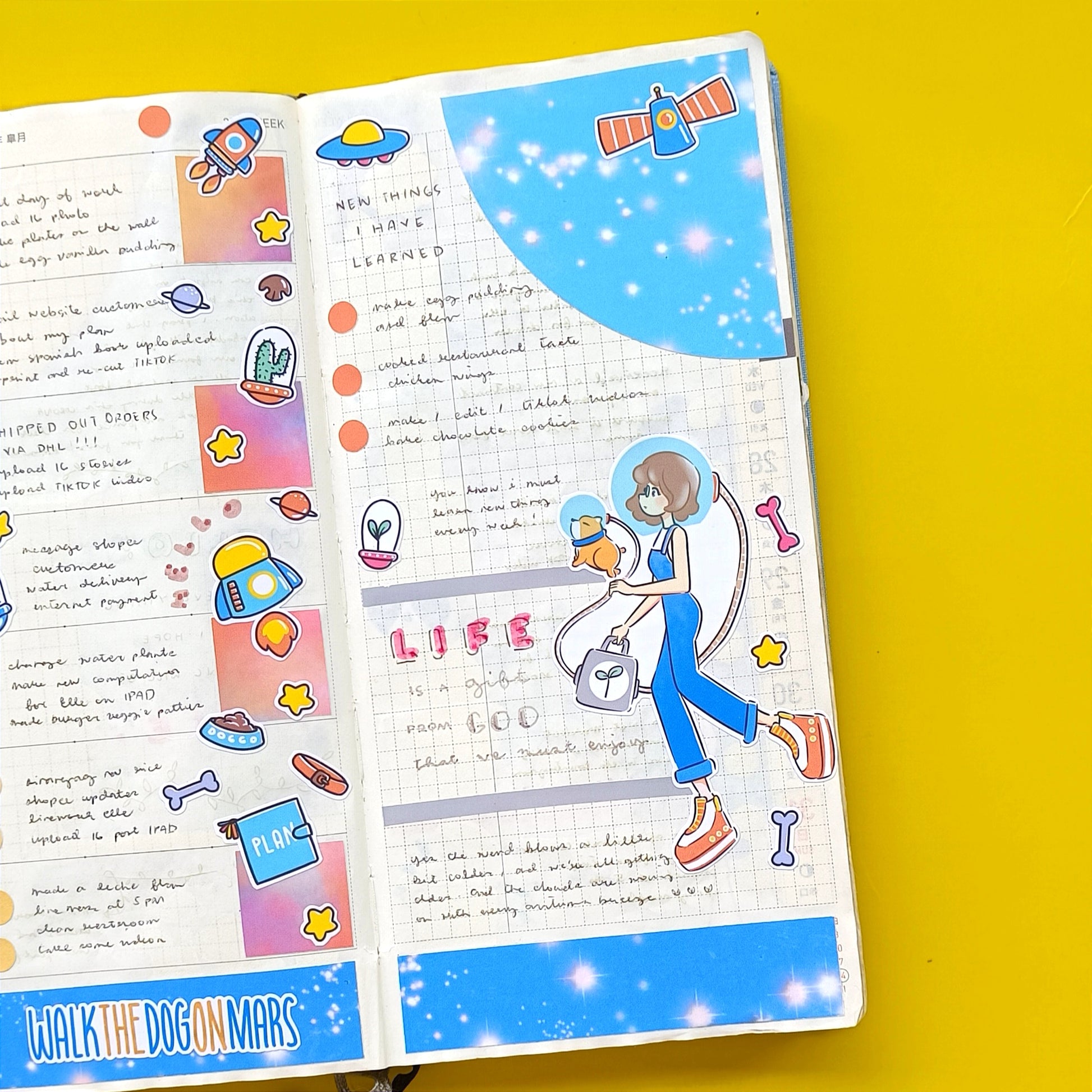 Hobonichi Kit for Hobonichi Weeks | hw019 | c062