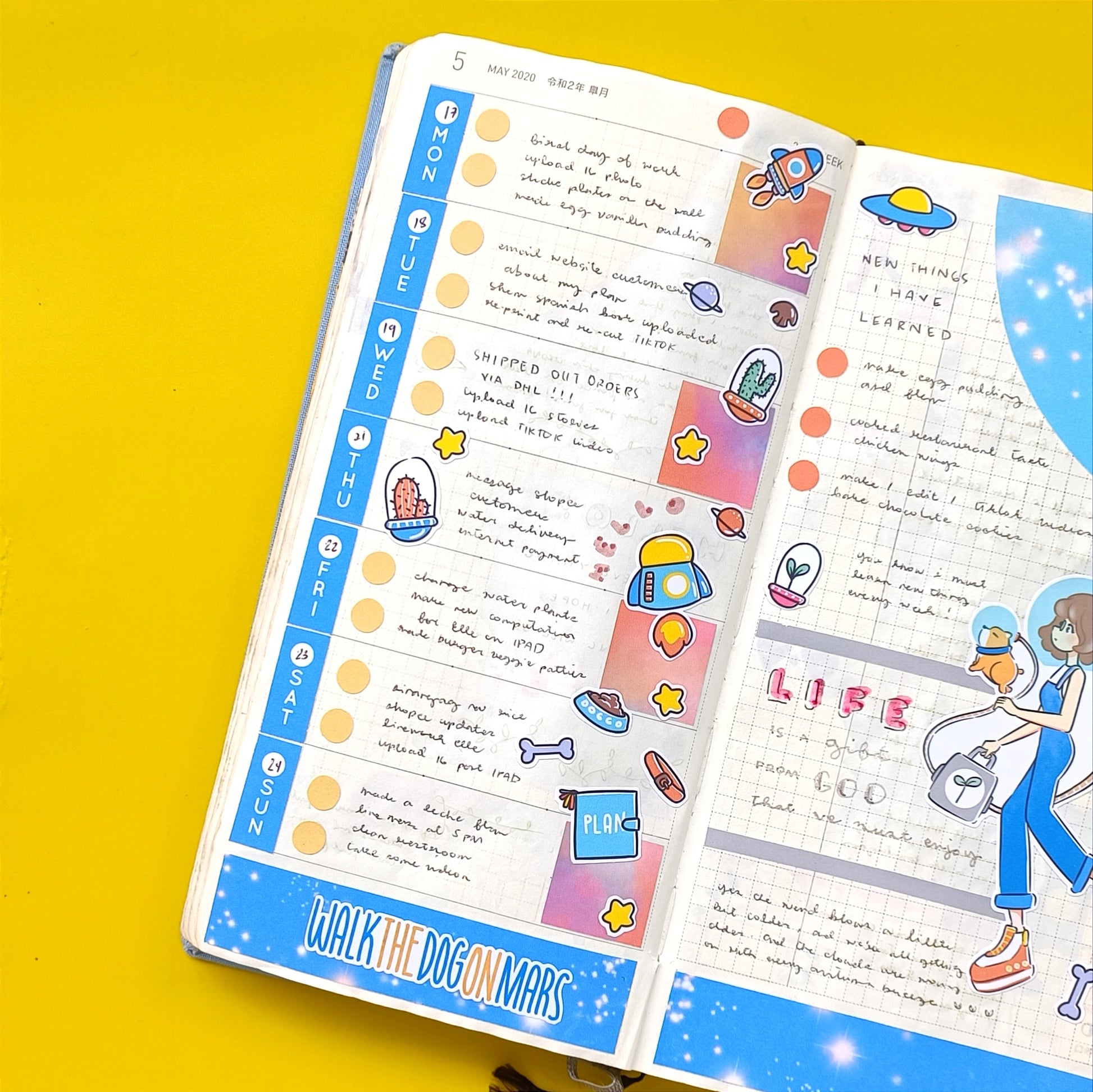 Hobonichi Kit for Hobonichi Weeks | hw019 | c062