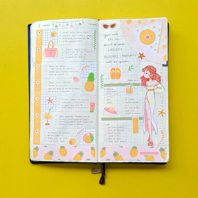 Hobonichi Kit for Hobonichi Weeks | hw069 | c201