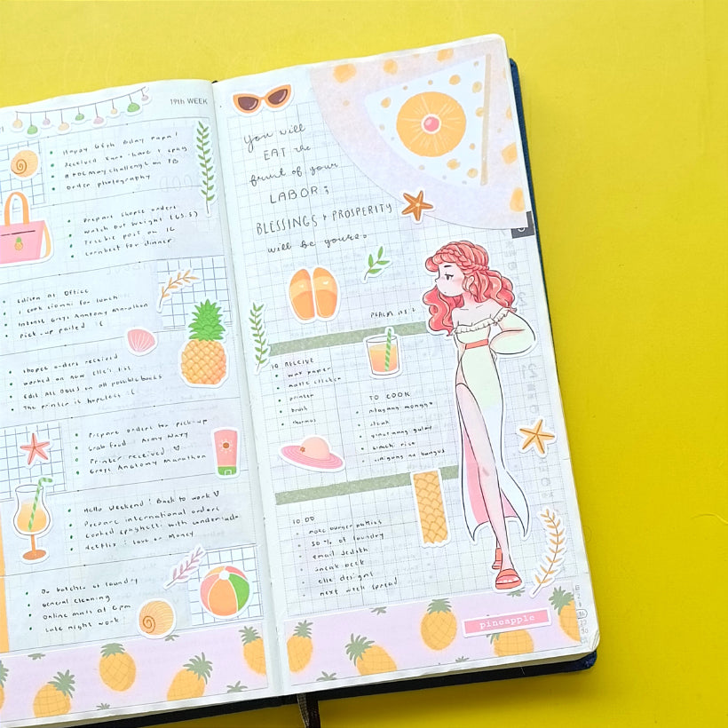 Hobonichi Kit for Hobonichi Weeks | hw069 | c201