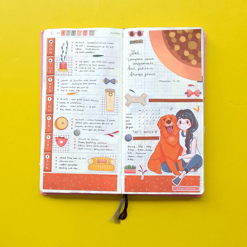 Hobonichi Kit for Hobonichi Weeks | hw127 | c266