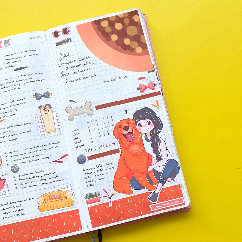 Hobonichi Kit for Hobonichi Weeks | hw127 | c266